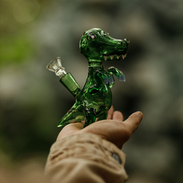 Toy Handmade DINOSAUR (Customize)